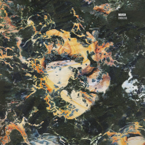 看女人逼毛最多的视频
